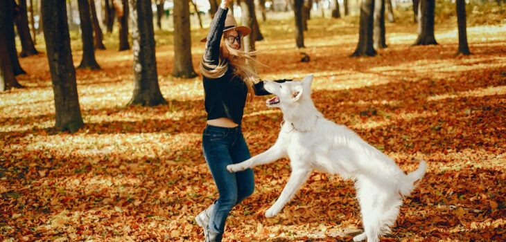 Beautiful girls have fun in a autumn park